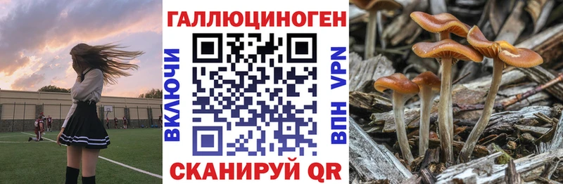 нарко площадка телеграм Шиханы Галлюциногенные грибы Psilocybe